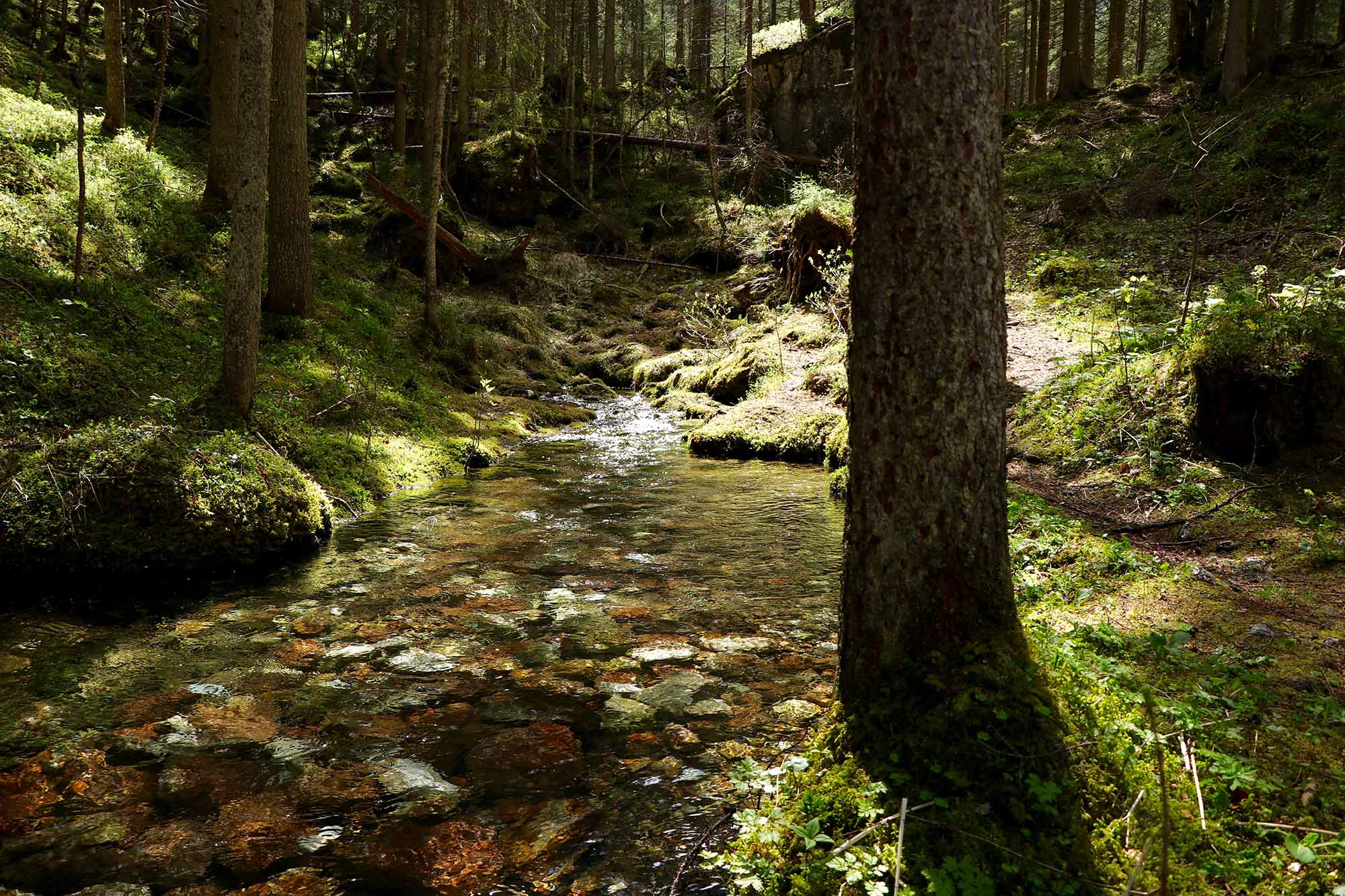 aguas-santarem-agua-como-meio-2