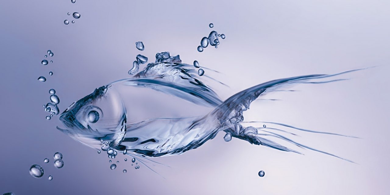 aguas-santarem-downloads-imagens-9